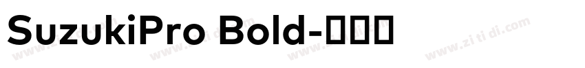 SuzukiPro Bold字体转换
